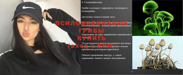 круглые Переславль-Залесский