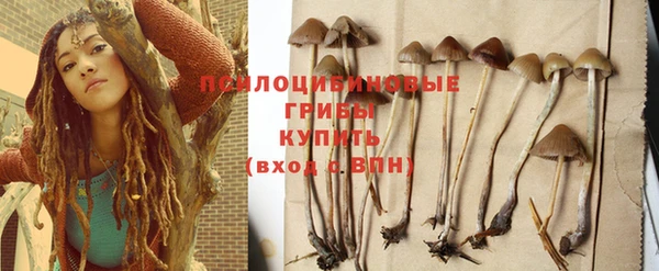 МДПВ Арсеньев