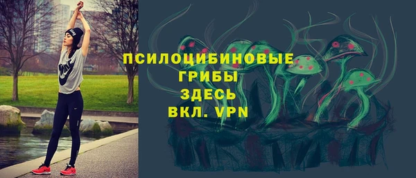 стаф Армянск