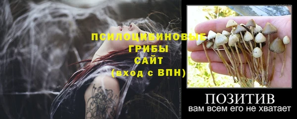 герыч Аркадак
