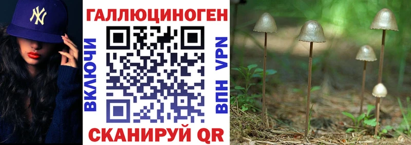 Галлюциногенные грибы Psilocybe  hydra онион  Тында 